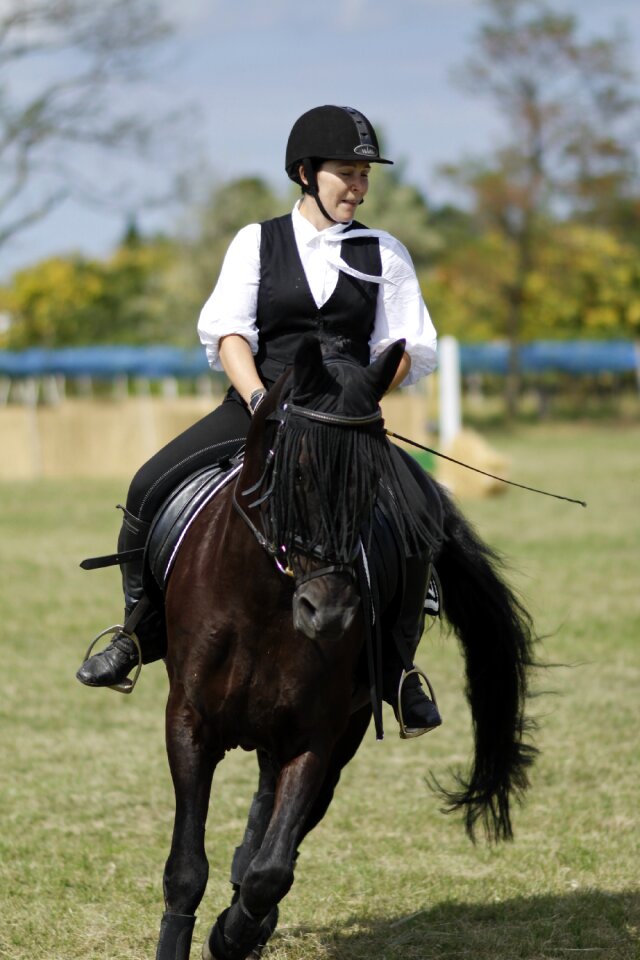 Woman horse sport