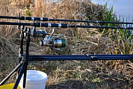 Fishing rod water forks photo