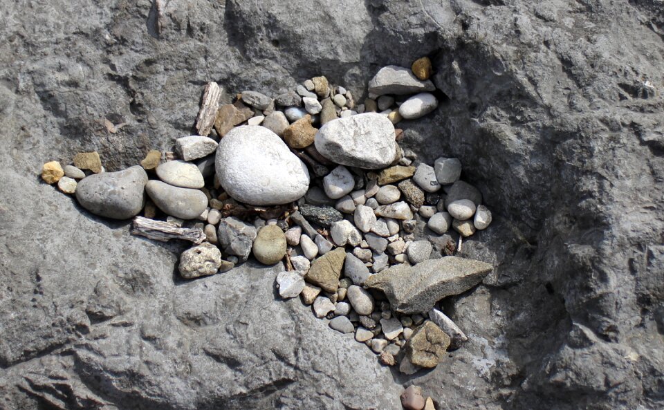 Pebbles pebble stone