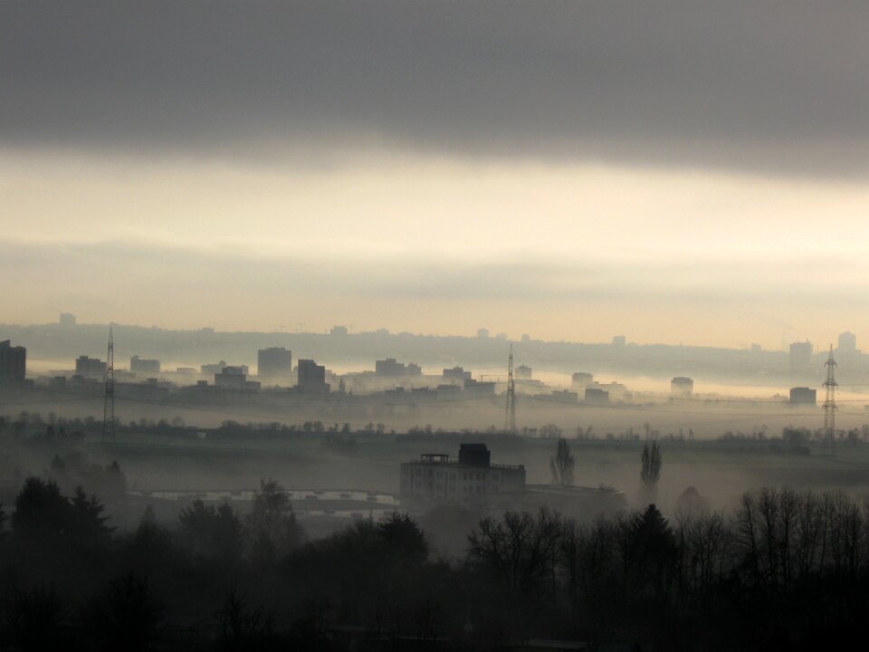 Fog frankfurt nature