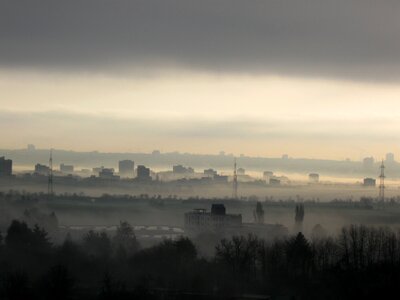 Fog frankfurt nature