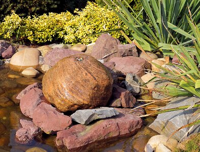 Pond harmony relaxation photo