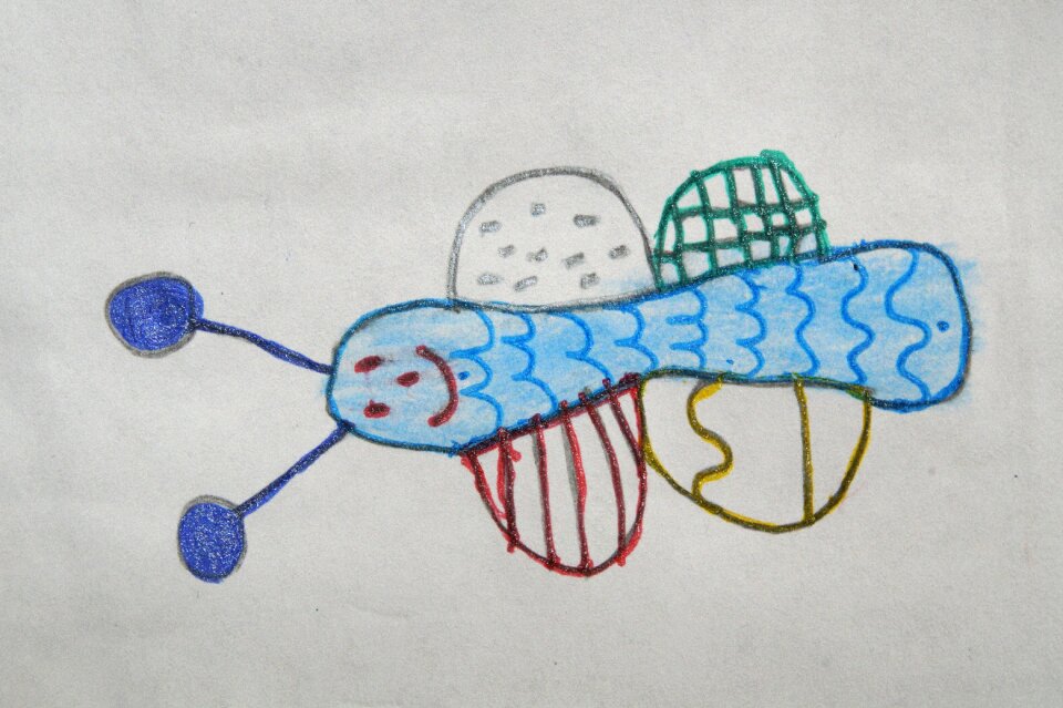 Animal spring child