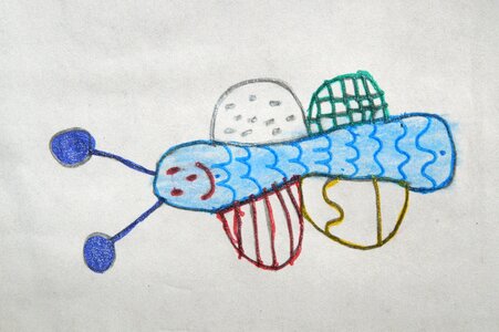 Animal spring child