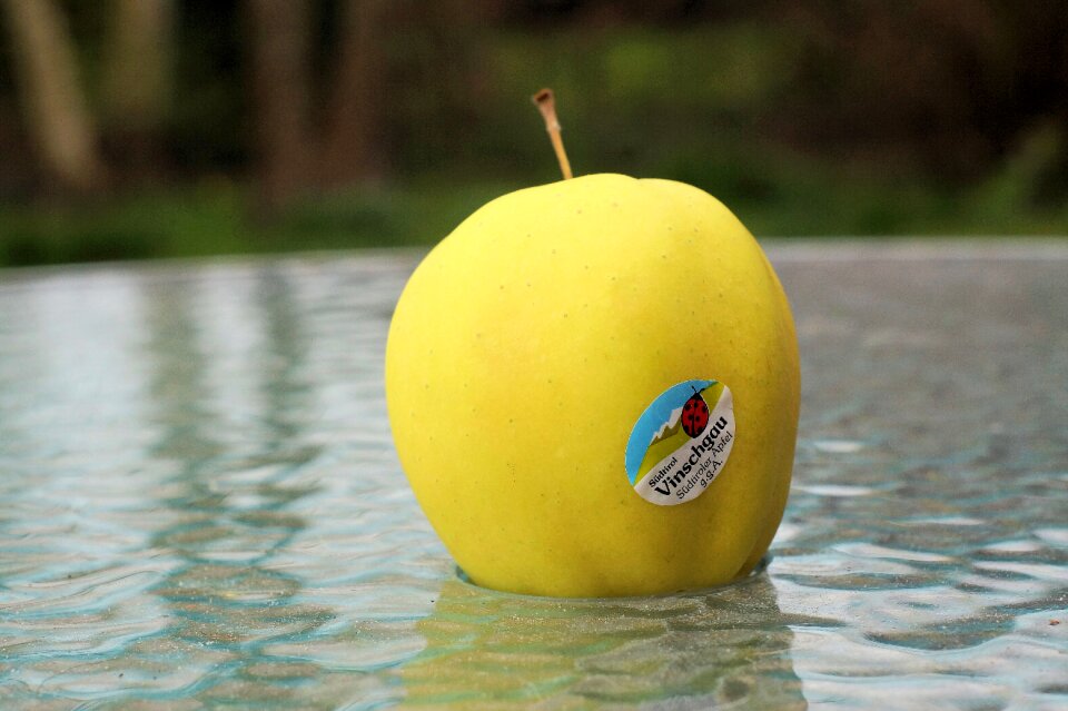 Fresh food health