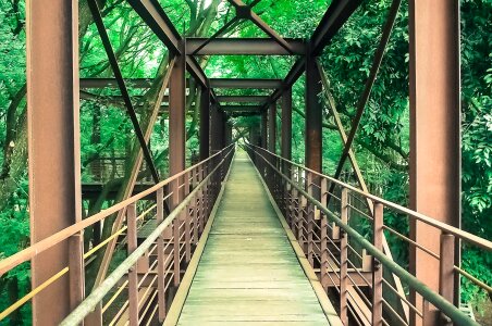 São paulo brazil bridge photo