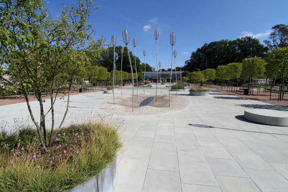 City park grove concrete slabs summer
