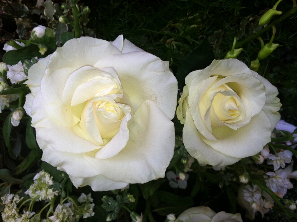 Romance love romantic