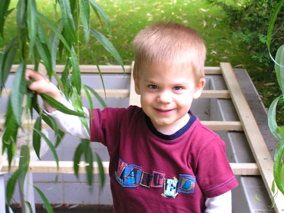 Little boy garden sorry willow