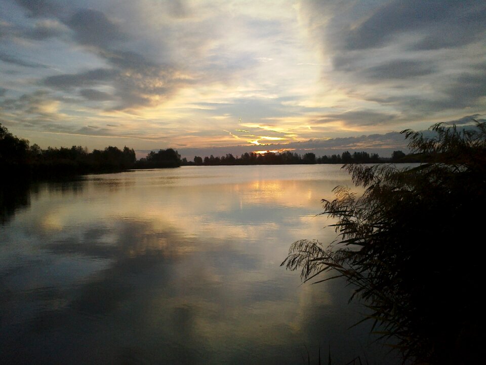 Nature lakeside landscape