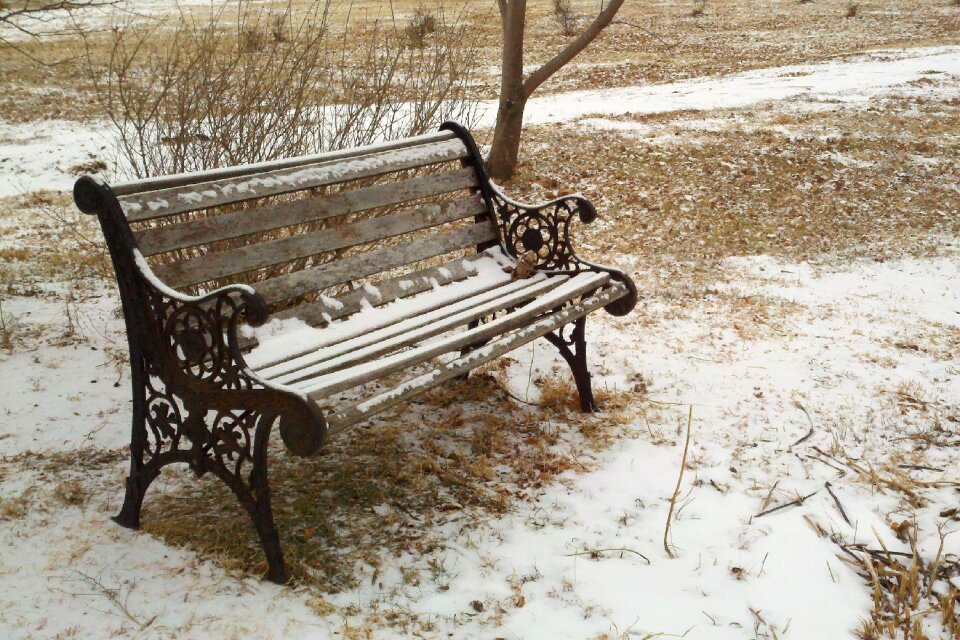 Winter grass cast iron