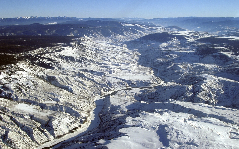 Winter bird perspective winter landscape