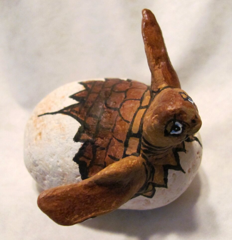 Loggerhead turtle craft homemade