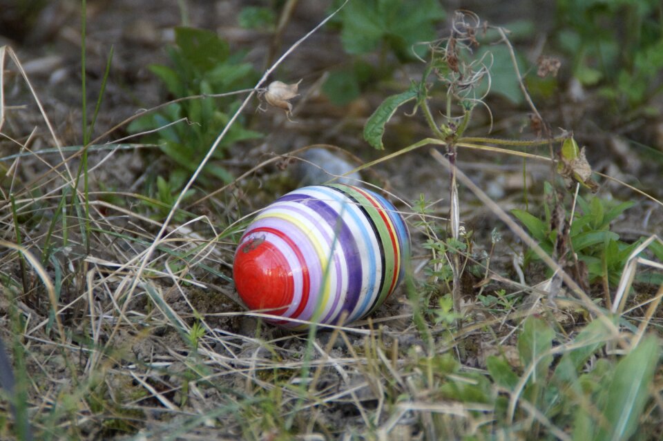 Easter bunny easter lost