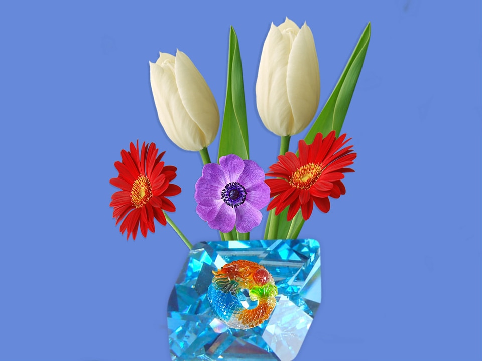 Turquoise flower blue