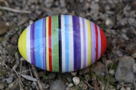 Colorful striped lost
