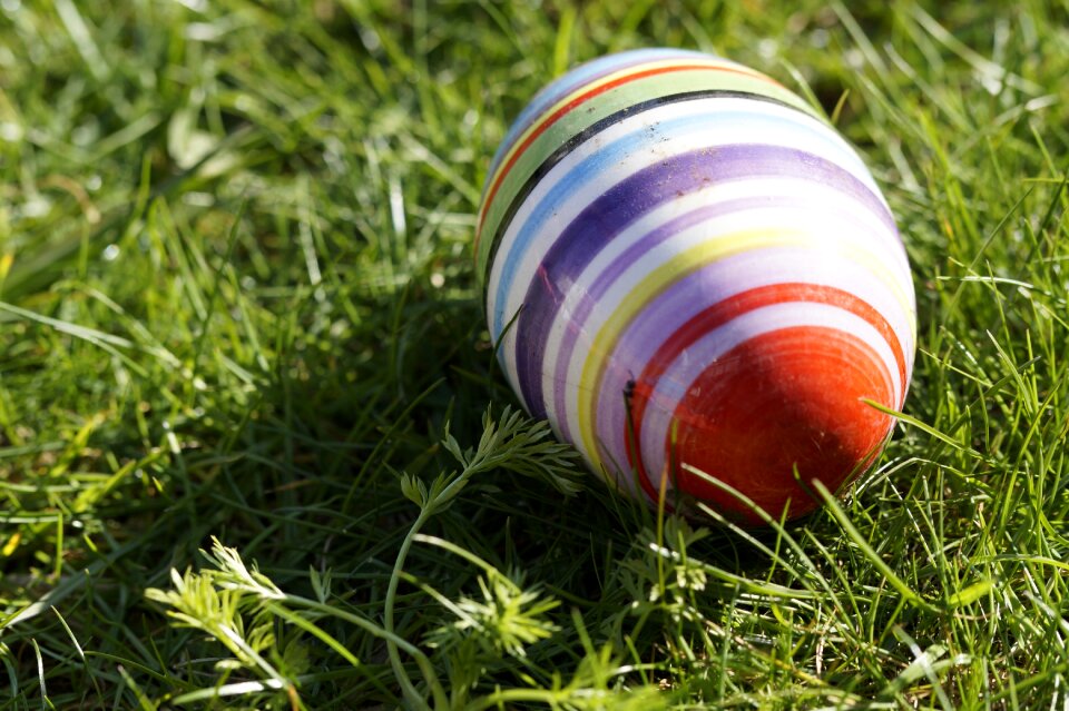 Easter bunny easter lost