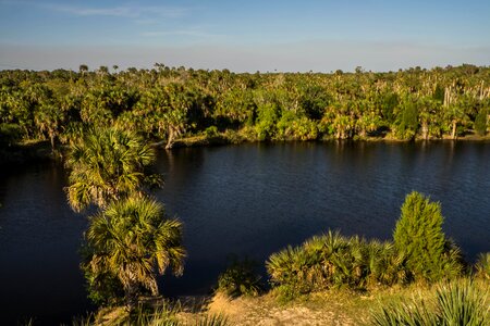 Nature exotic tropics