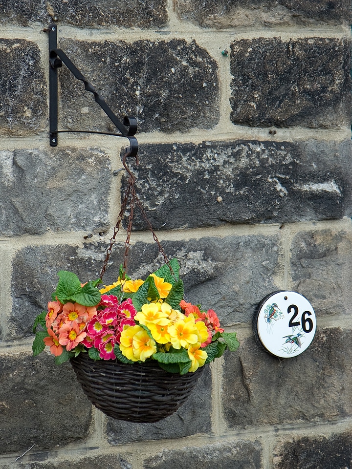 Spring colorful house
