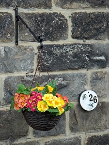 Spring colorful house