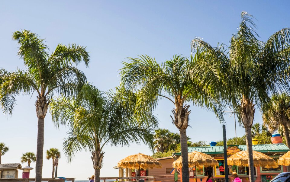 Beach island exotic
