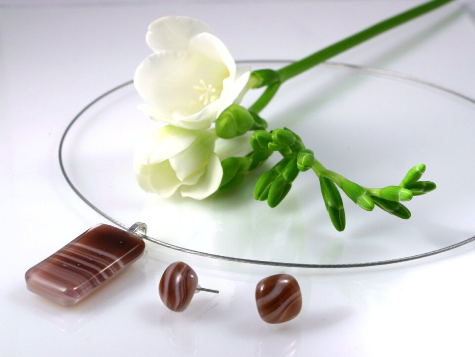 Necklace earring fashion