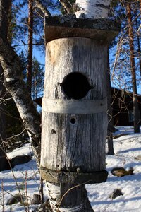 Birdhouse nestbox nature photo photo