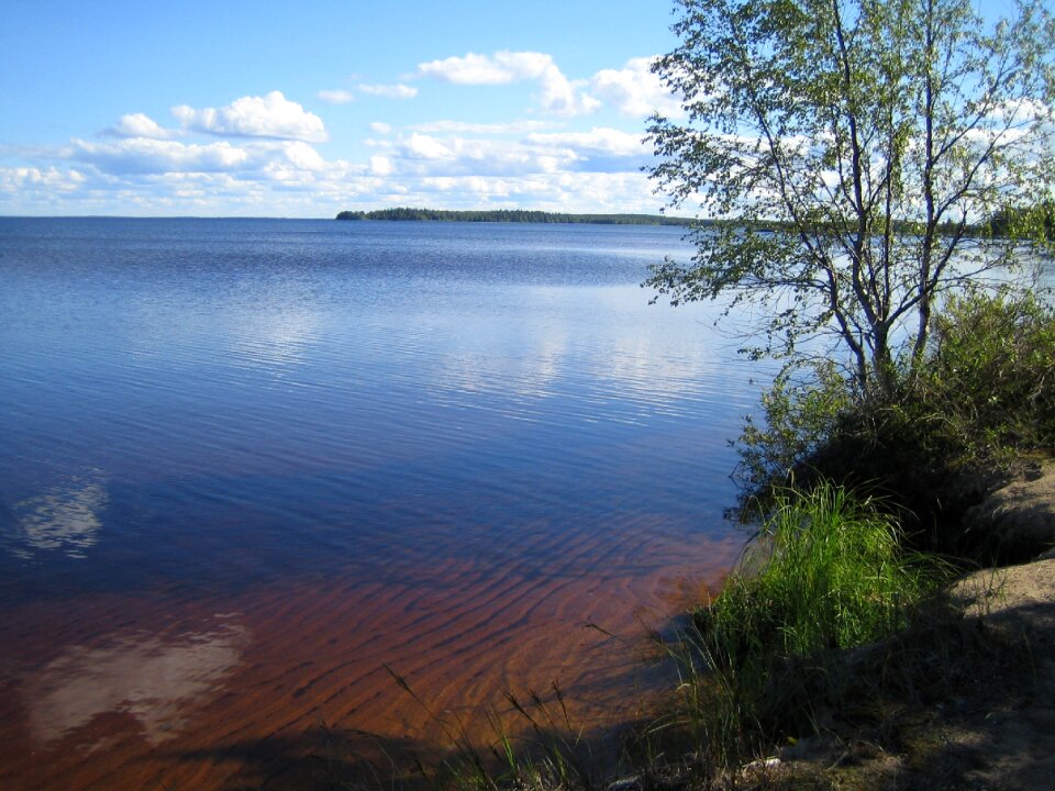 Summer vacation landscape water