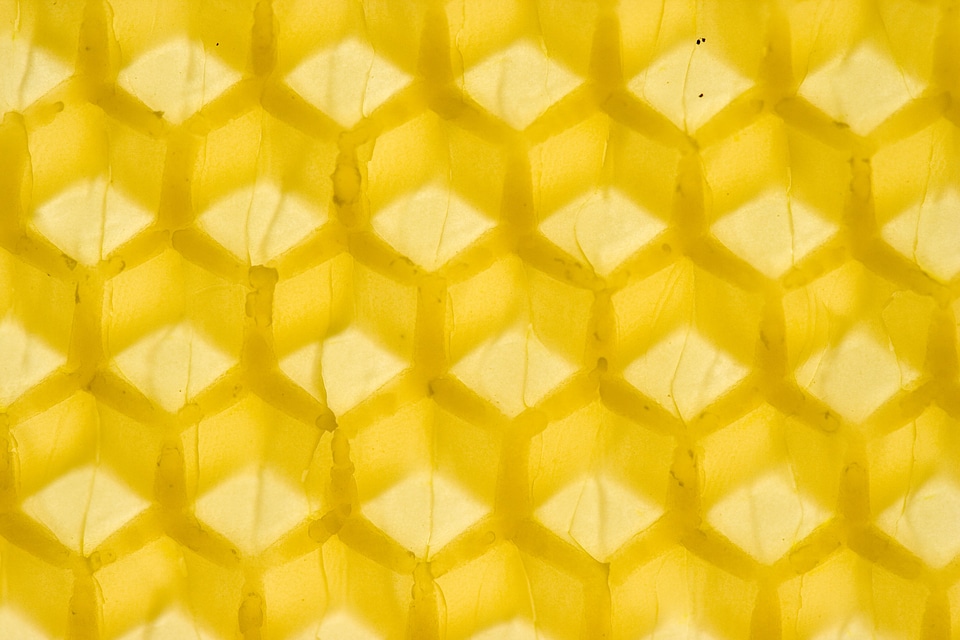 Honeycomb industrious wax
