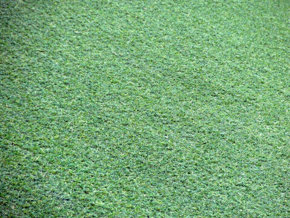 Astroturf background baseball