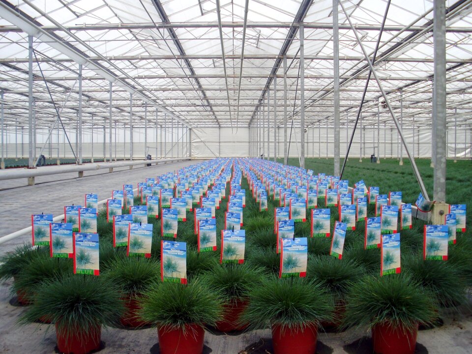 Cultivate grow green