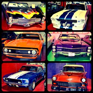 Museum motors show