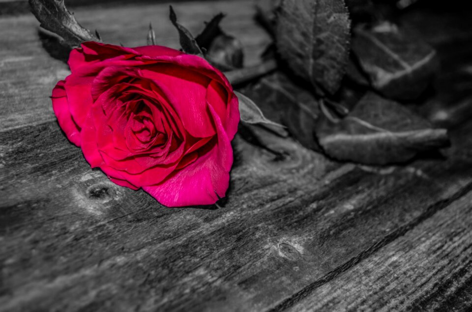 Nature remember gift