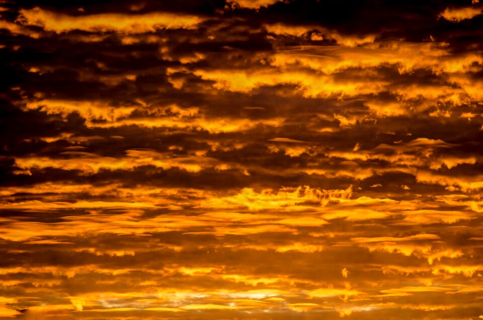Gold pattern sunlight
