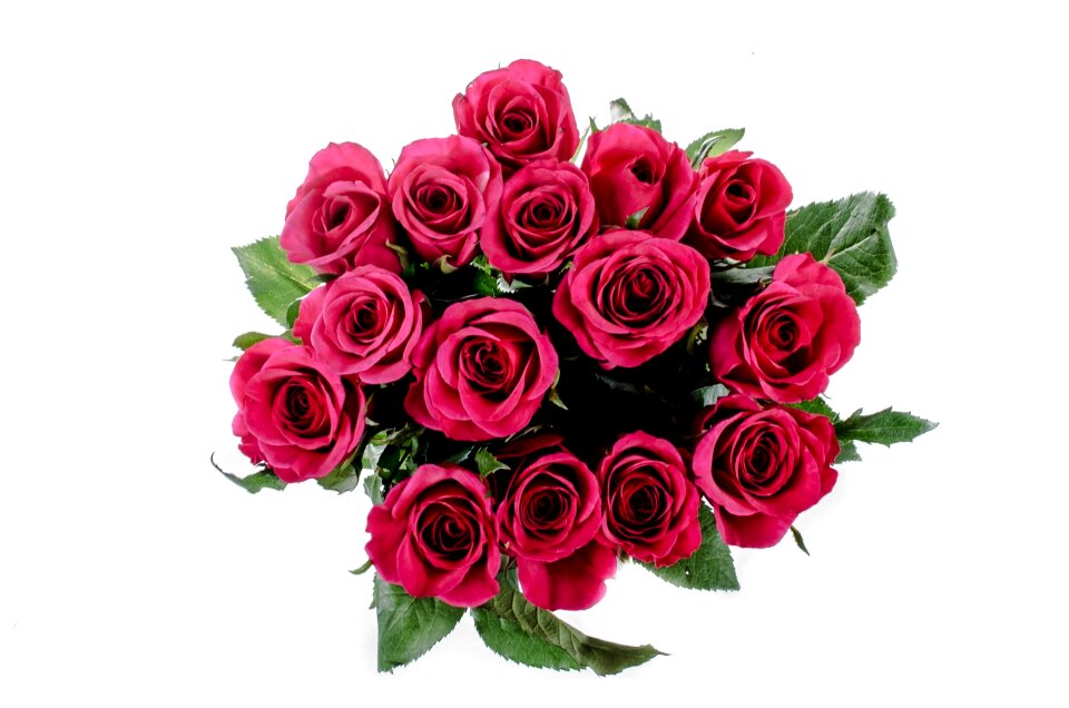 Love decoration nature