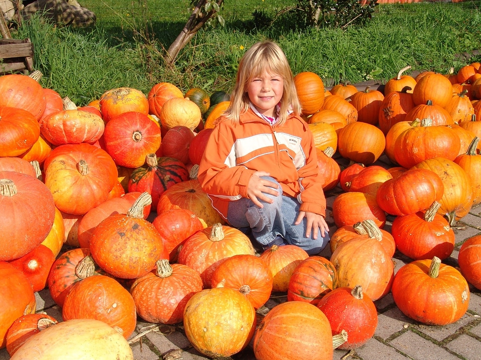 Autumn halloween nature