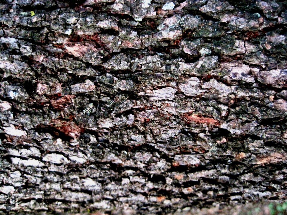 Textured patterned browns red browns