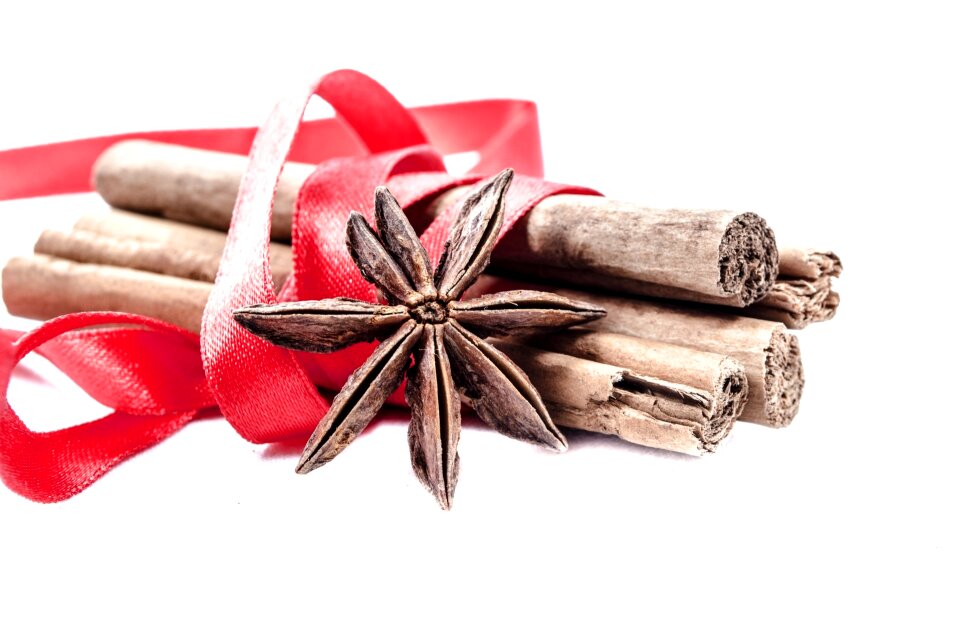 Anise isolated bark
