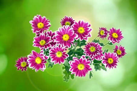 Nature remember gift
