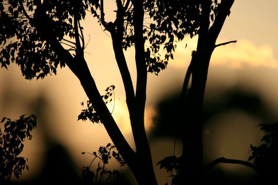 Orange gold glow
