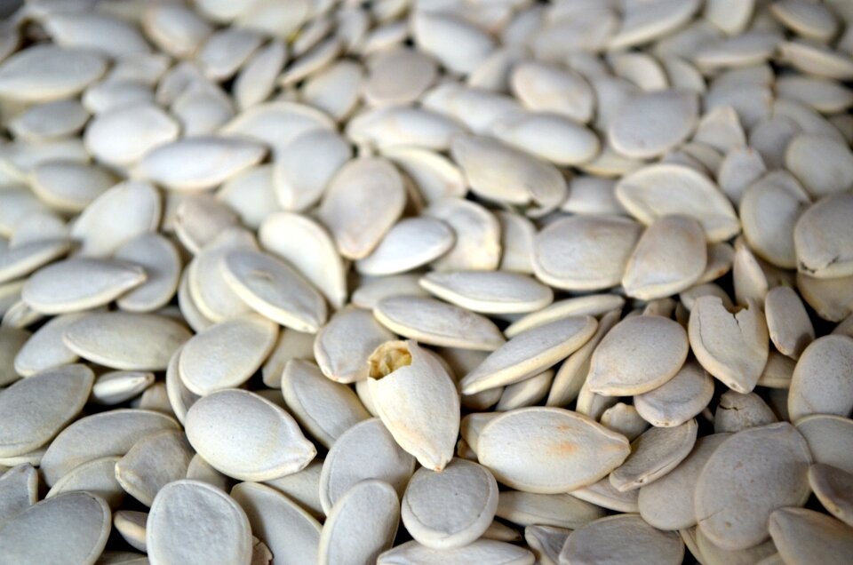 Pumpkin seeds snack roasted