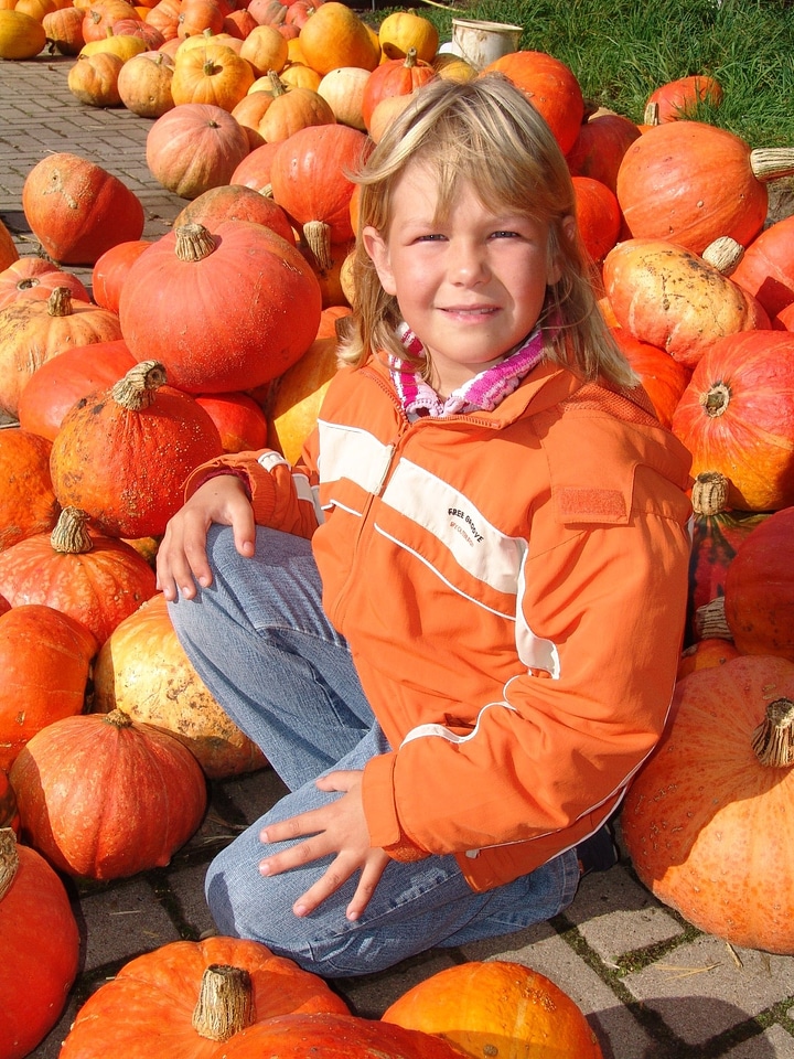 Autumn orange halloween