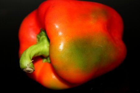 Orange red bell pepper photo