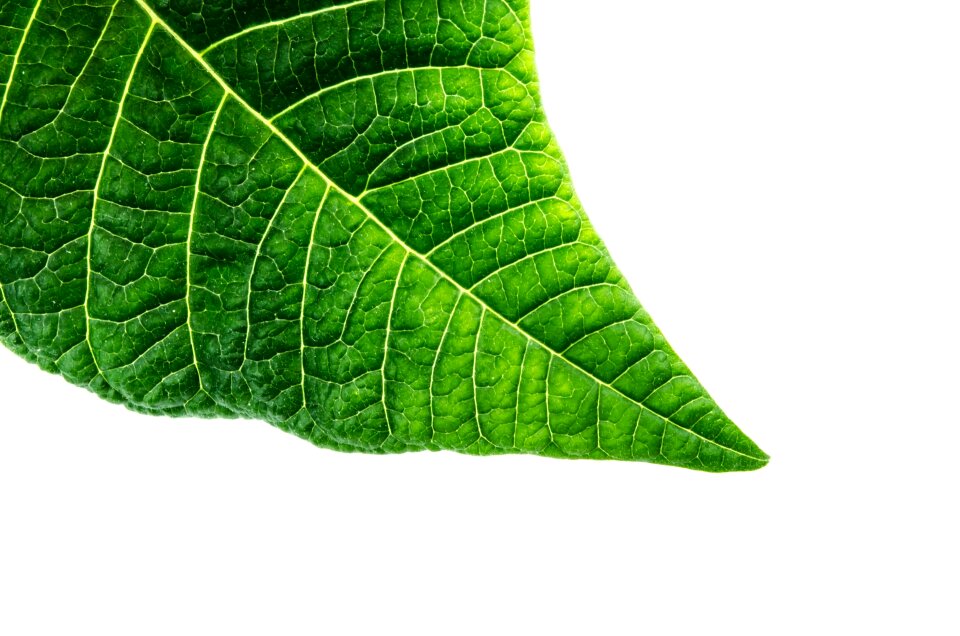 Environmental close-up way