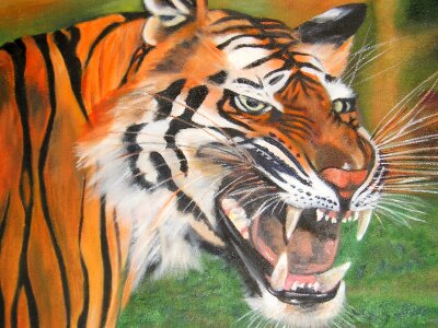 Tiger head angry