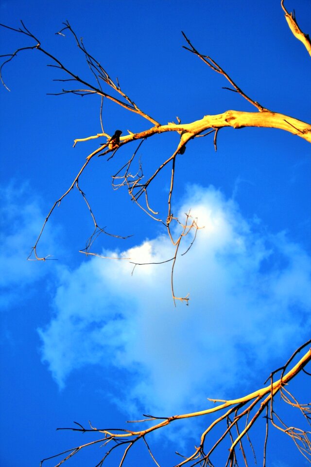 Old sunlight glow