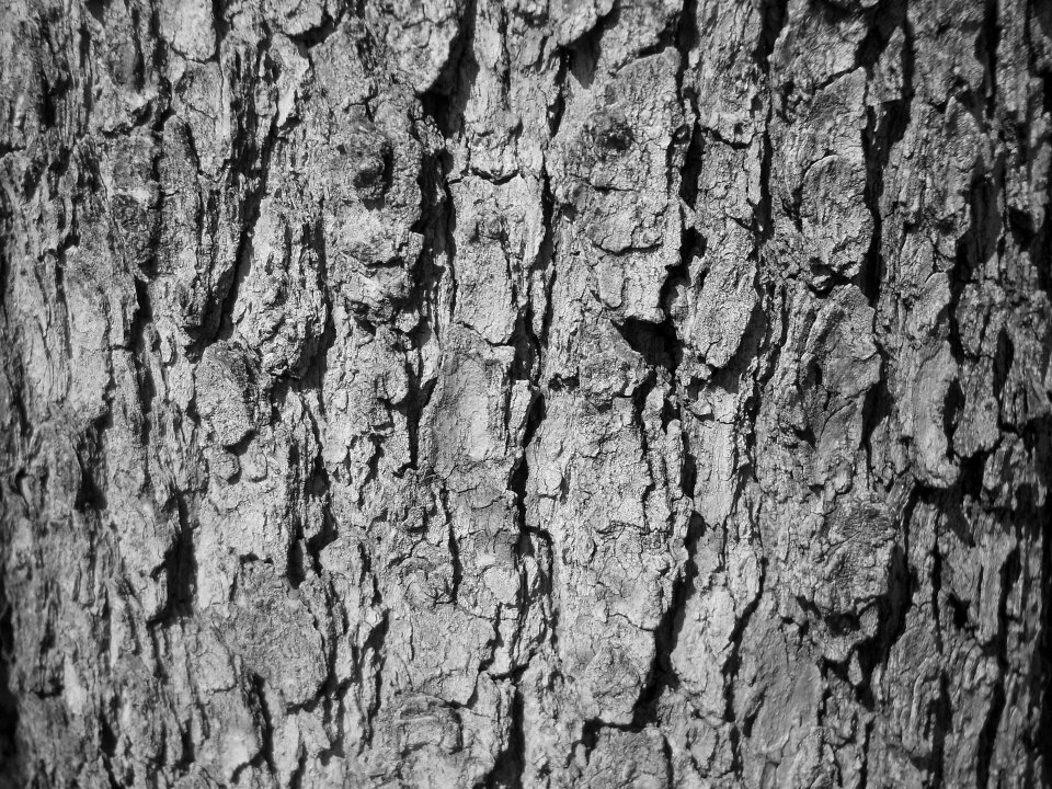 Texture black and white black white