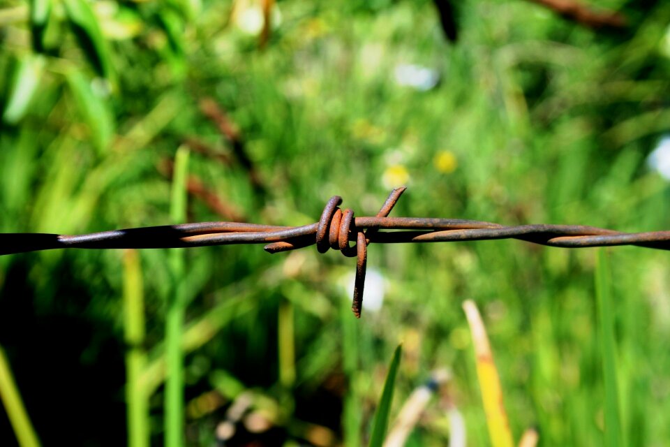 Dangerous restricting grass