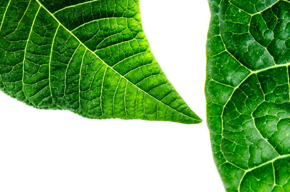 Environmental close-up way