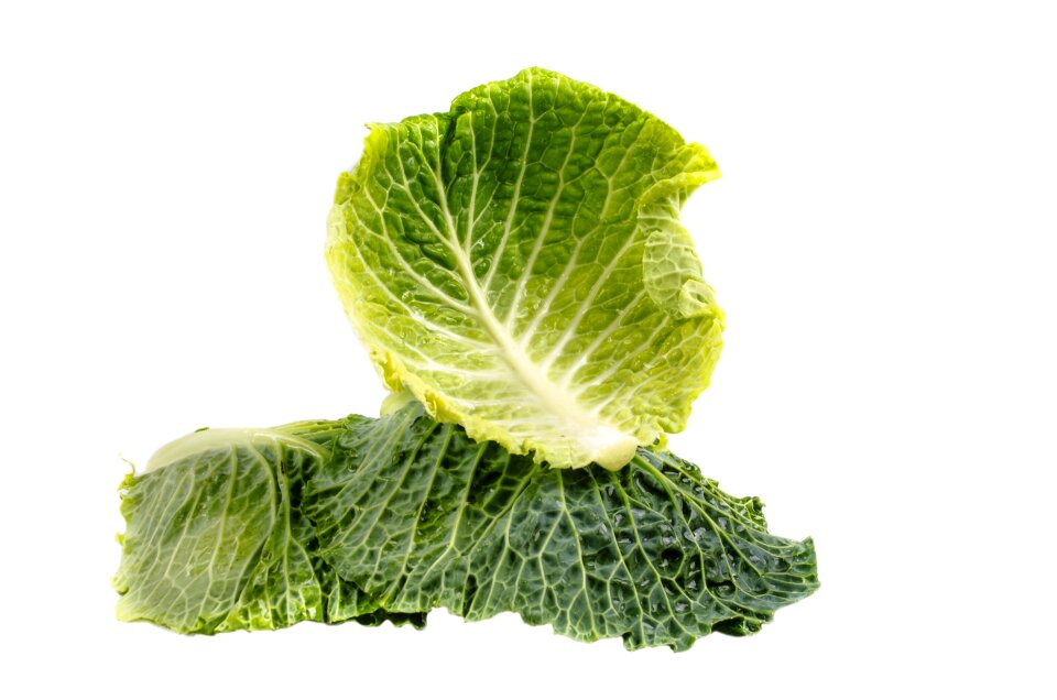 Plant isolated vegetarian